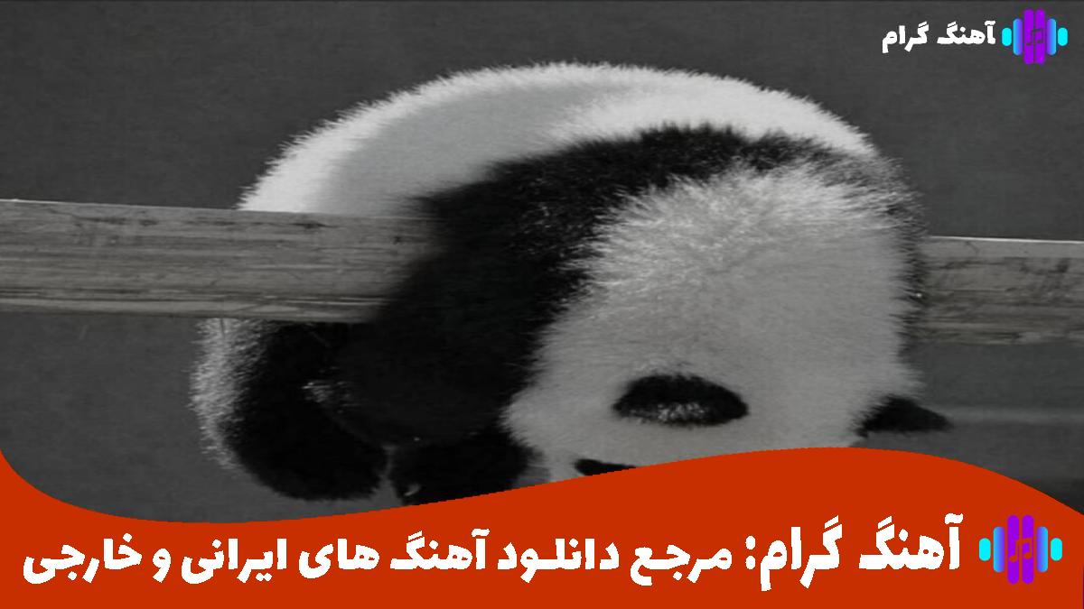 کاور آهنگ سلام سلام همگی سلام رفیق بامرام از بهنام بانی و حسین